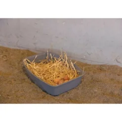 KERBL - Pondoir pour poules - kerbl - 52 x 39 x 39 cm
