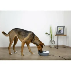 KERBL - Fontaine eyenimal classic pet 1,75 l pour petit chien et chat