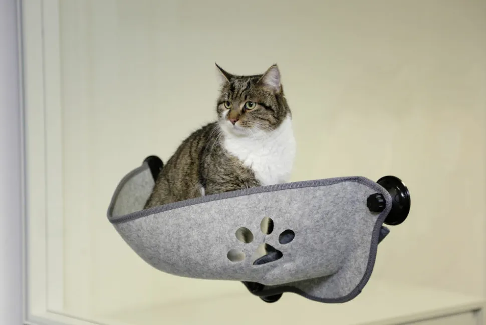 KERBL - Lit de bronzage de fenêtre pour chat filzino 70x26x26 cm gris