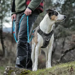 KURGO - Harnais pour chien Journey Air noir taille M