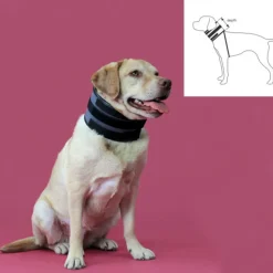 KVP - Collier cervical pour chiens noir (13-48 cm)