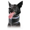 KVP - Collier cervical pour chiens noir (9-36 cm)