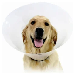 KVP - Collier de protection isabelino pour chiens check transparent (43-57 cm)