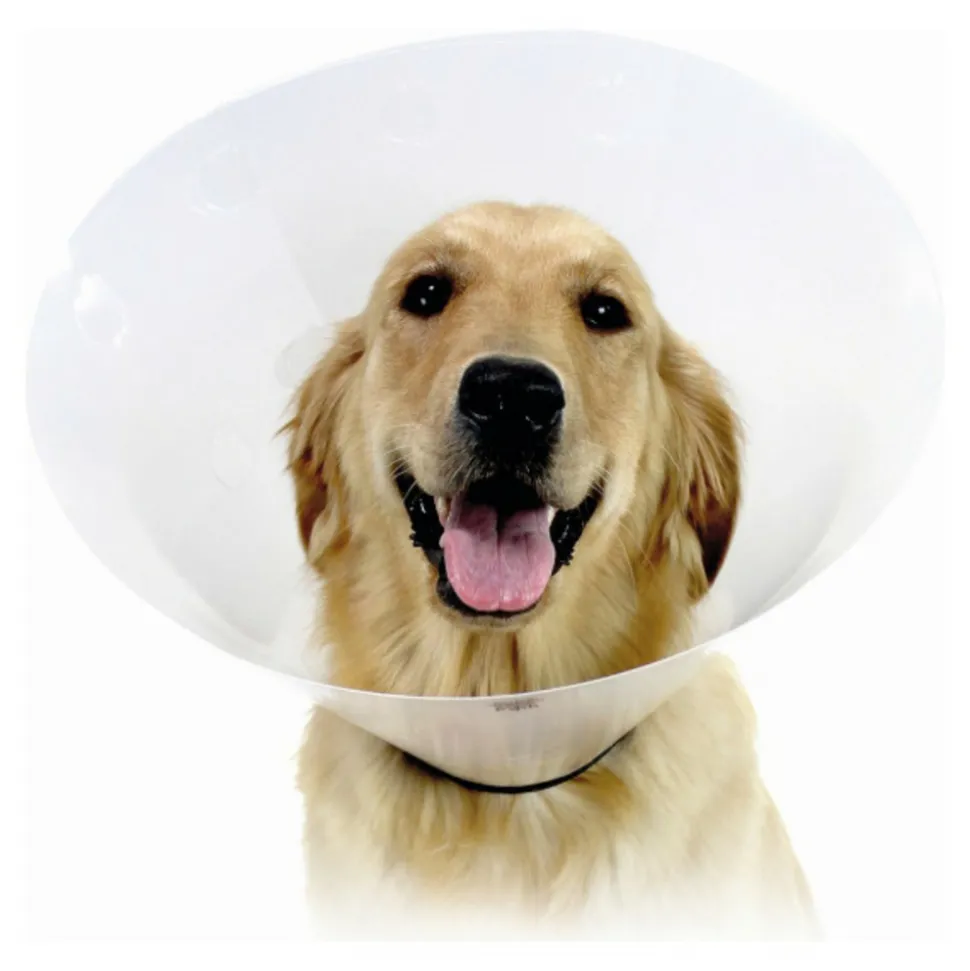 KVP - Collier de protection isabelino pour chiens check transparent (34-43 cm)