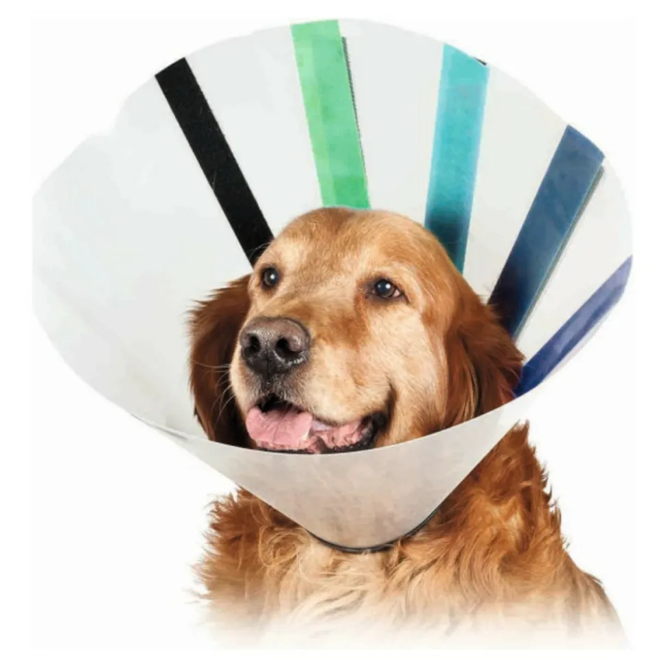 KVP - Collier de protection isabelino pour chiens ez clear (16-19 cm)
