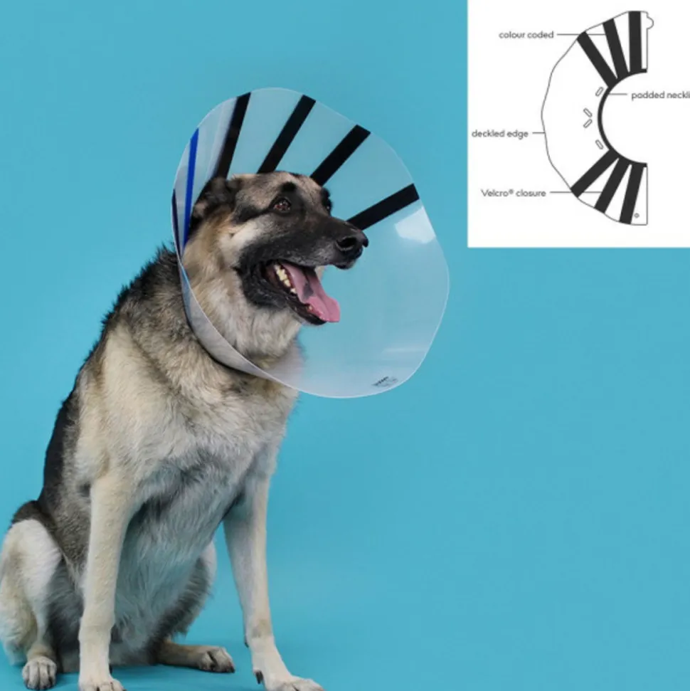 KVP - Collier de protection isabelino pour chiens ez clear (16-19 cm)