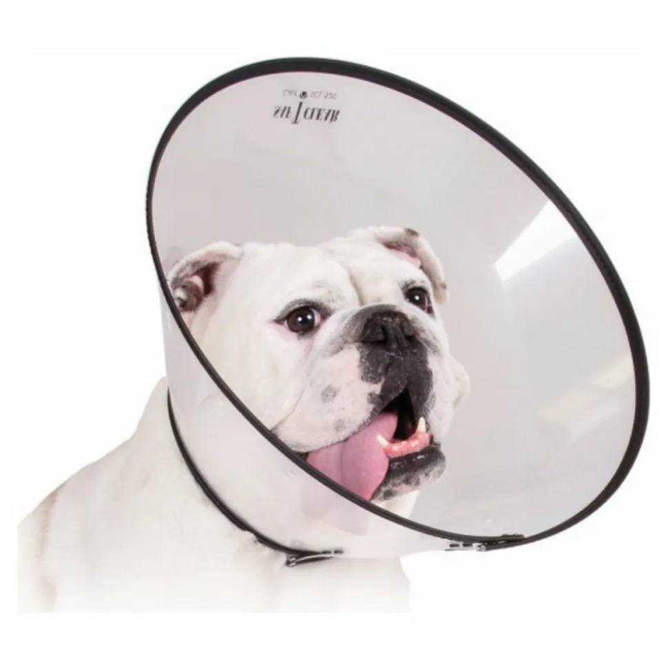 KVP - Collier de protection isabelino pour chiens saf-t-clear transparent (17-20 cm)