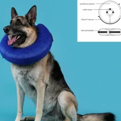KVP - Collier de récupération pour chiens kvp kong cloud bleu gonflable (33-46 cm)