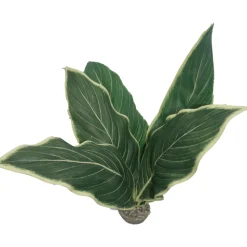 LABEO - Plante artificielle pour terrarium H37cm