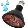 LA FERME TROPICALE - Lampe à résistance chauffante - deep heat splash proof - 100w - ampoule / chauffage pour reptiles (lézards, serpents), amphibie