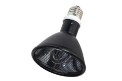 LA FERME TROPICALE - Lampe à résistance chauffante - deep heat splash proof - 100w - ampoule / chauffage pour reptiles (lézards, serpents), amphibie
