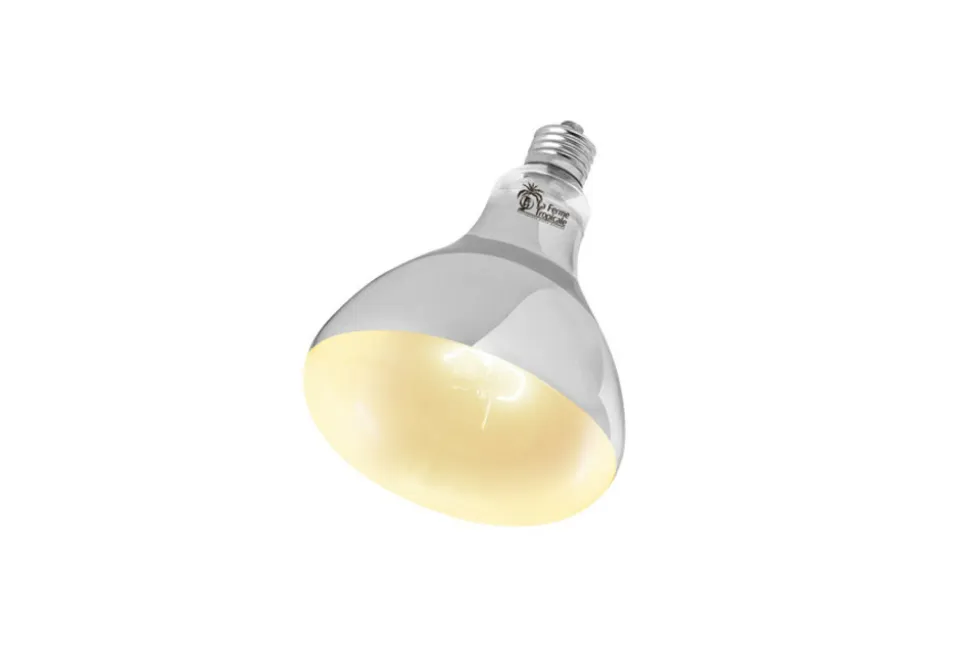 LA FERME TROPICALE - Lampe uvb auto ballastée 75w - super sun- ampoule pour le chauffage et l'éclairage destinés aux reptiles (lézards, serpents), am
