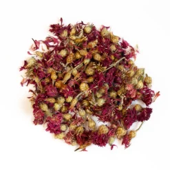 L'EDEN DES PATTOUNES - Bleuet rouge - 150 g