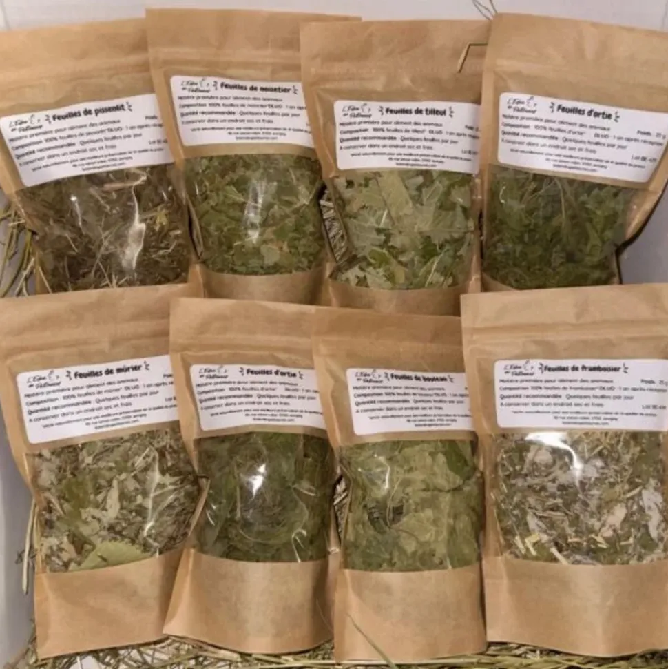L'EDEN DES PATTOUNES - Box feuilles
