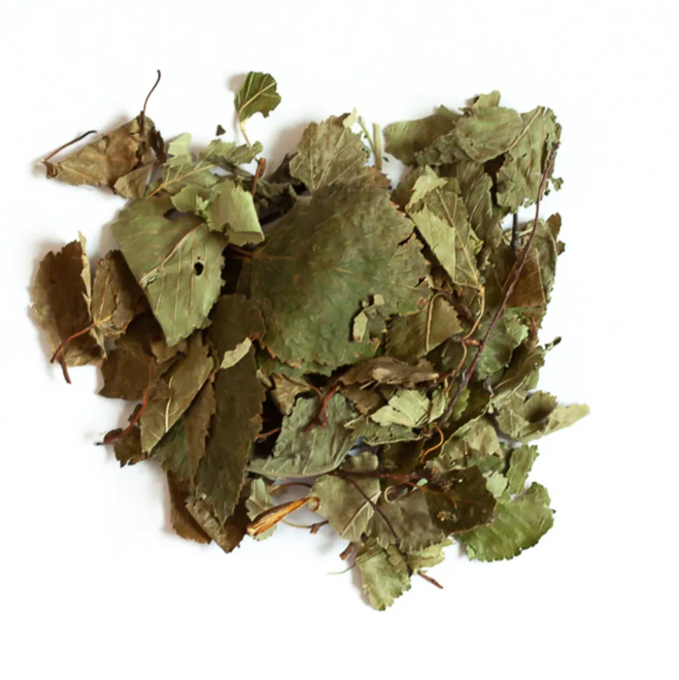 L'EDEN DES PATTOUNES - Feuilles de bouleau - 150 g