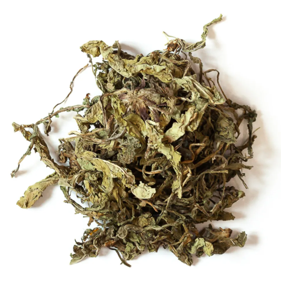 L'EDEN DES PATTOUNES - Feuilles de pissenlit - 150 g