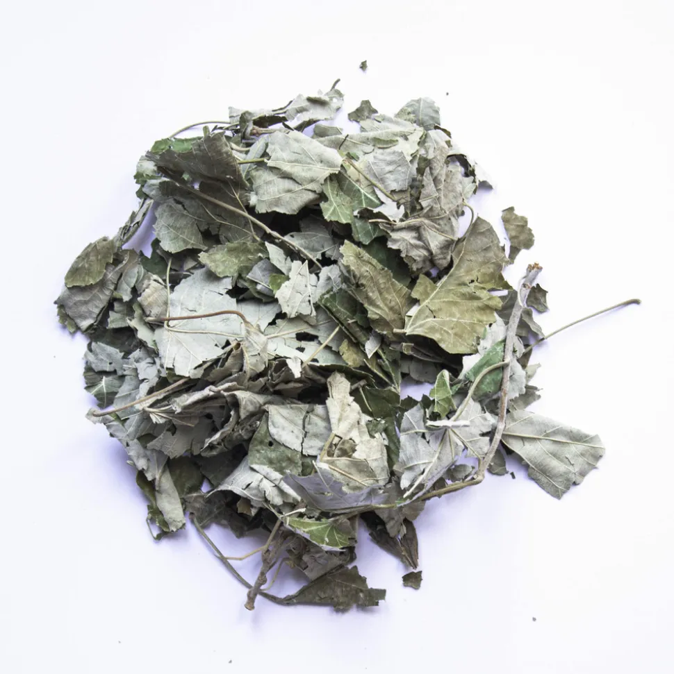 L'EDEN DES PATTOUNES - Feuilles de tilleul - 150 g