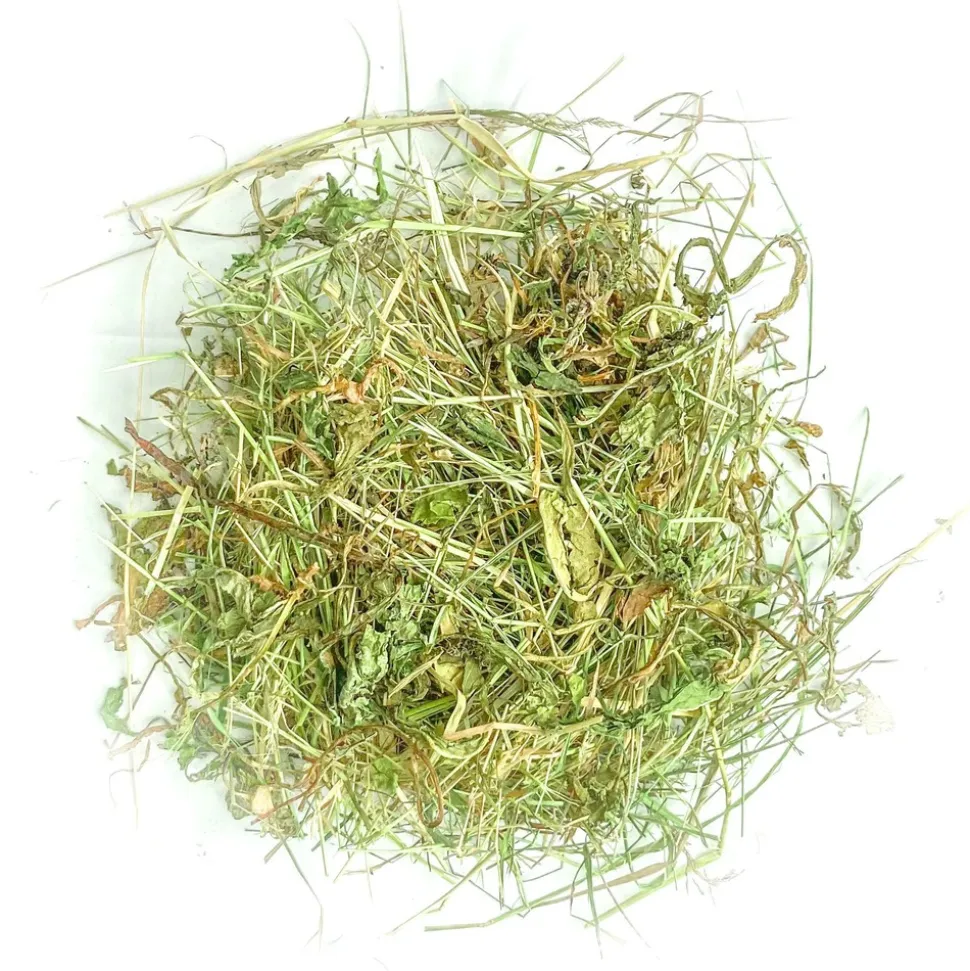 L'EDEN DES PATTOUNES - Foin aromatisé au plantain pour lapins et rongeurs