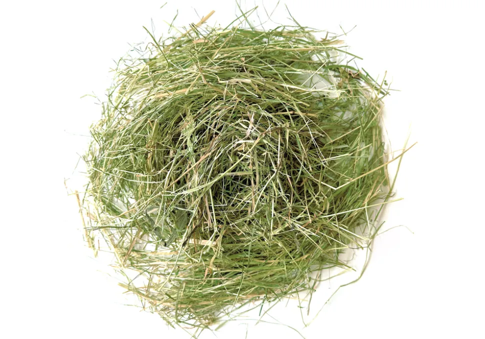 L'EDEN DES PATTOUNES - Mix foin pour lapins et rongeurs - 1 kg