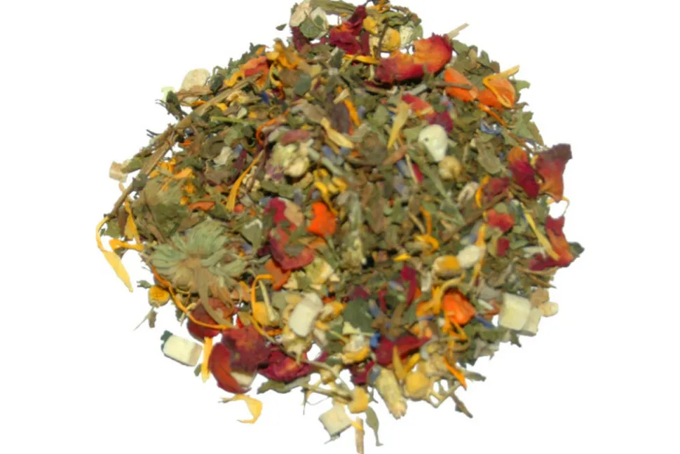 LUCKY REPTILE - Aliment pour tortue terrestre - testudo mix 250gr - granulés / compléments alimentaires pour reptiles