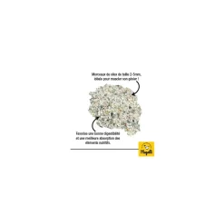 MAGALLI - Magalli grit poules - digestion et coquilles solides 5 kg