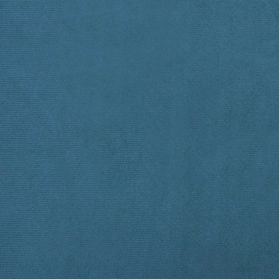 MAISON EXCLUSIVE - Lit pour chien bleu 100x50x21 cm velours