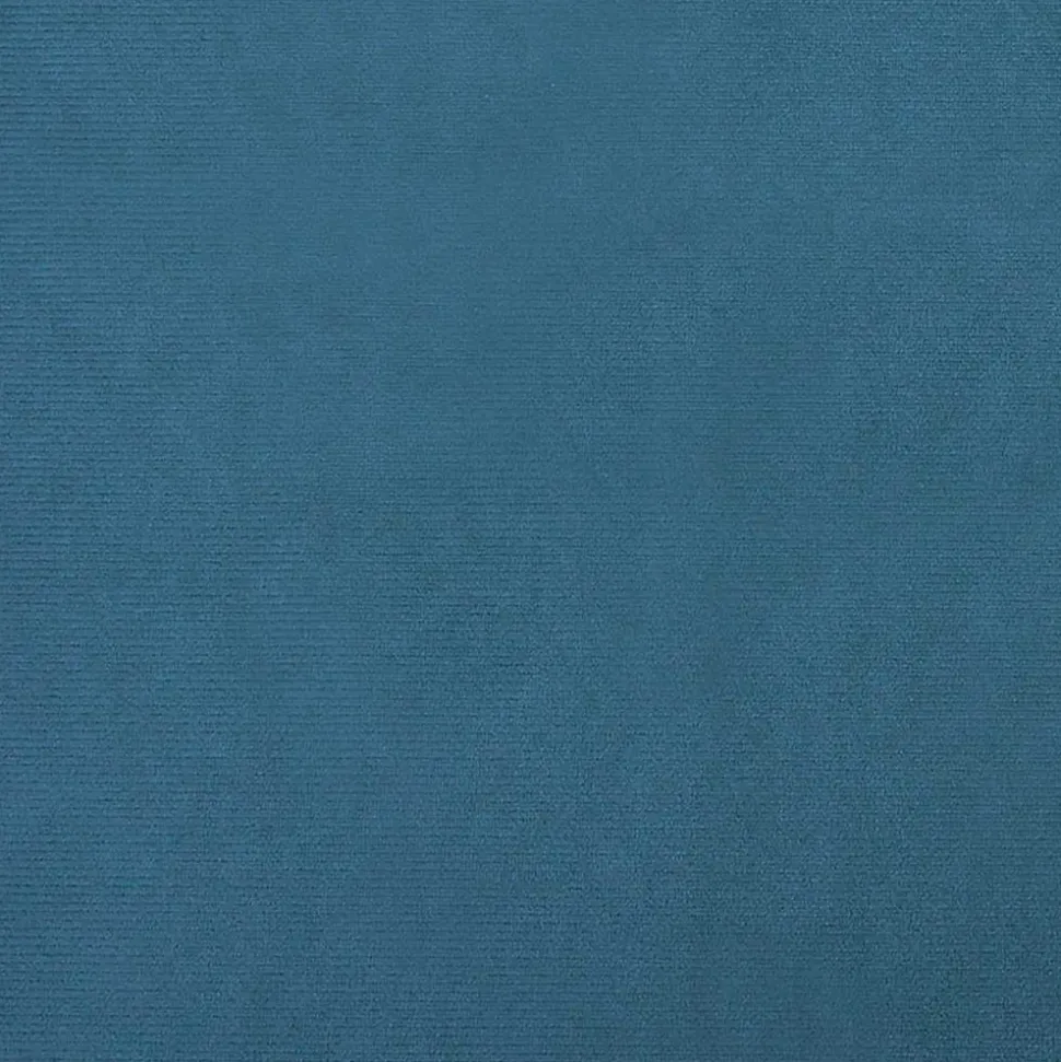 MAISON EXCLUSIVE - Lit pour chien bleu 70x45x26,5 cm velours