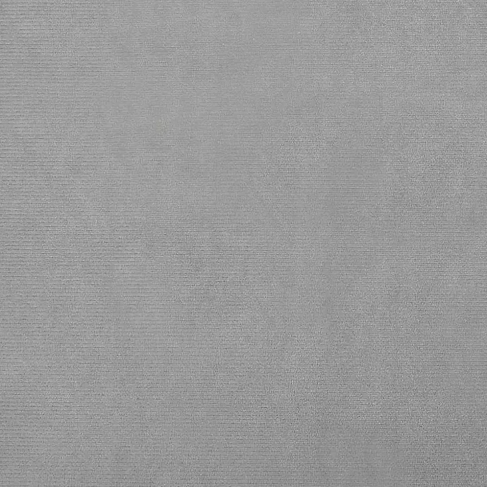 MAISON EXCLUSIVE - Lit pour chien gris clair 70x48x22 cm velours
