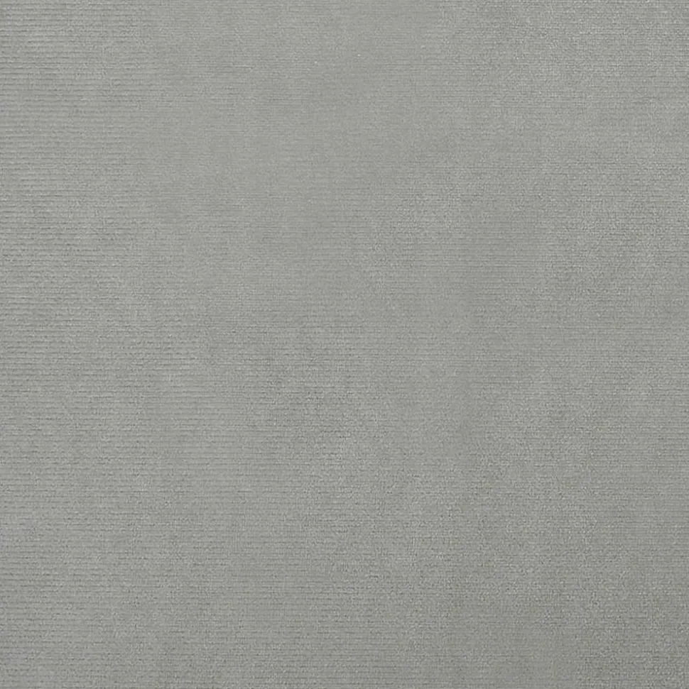 MAISON EXCLUSIVE - Lit pour chien gris clair 70x52x30 cm velours
