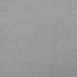MAISON EXCLUSIVE - Lit pour chien gris clair 66x40x45 cm velours