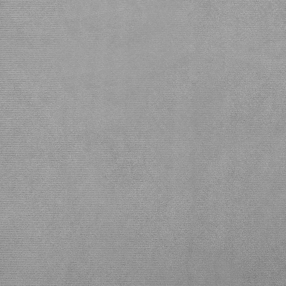 MAISON EXCLUSIVE - Lit pour chien gris clair 95x55x30 cm velours
