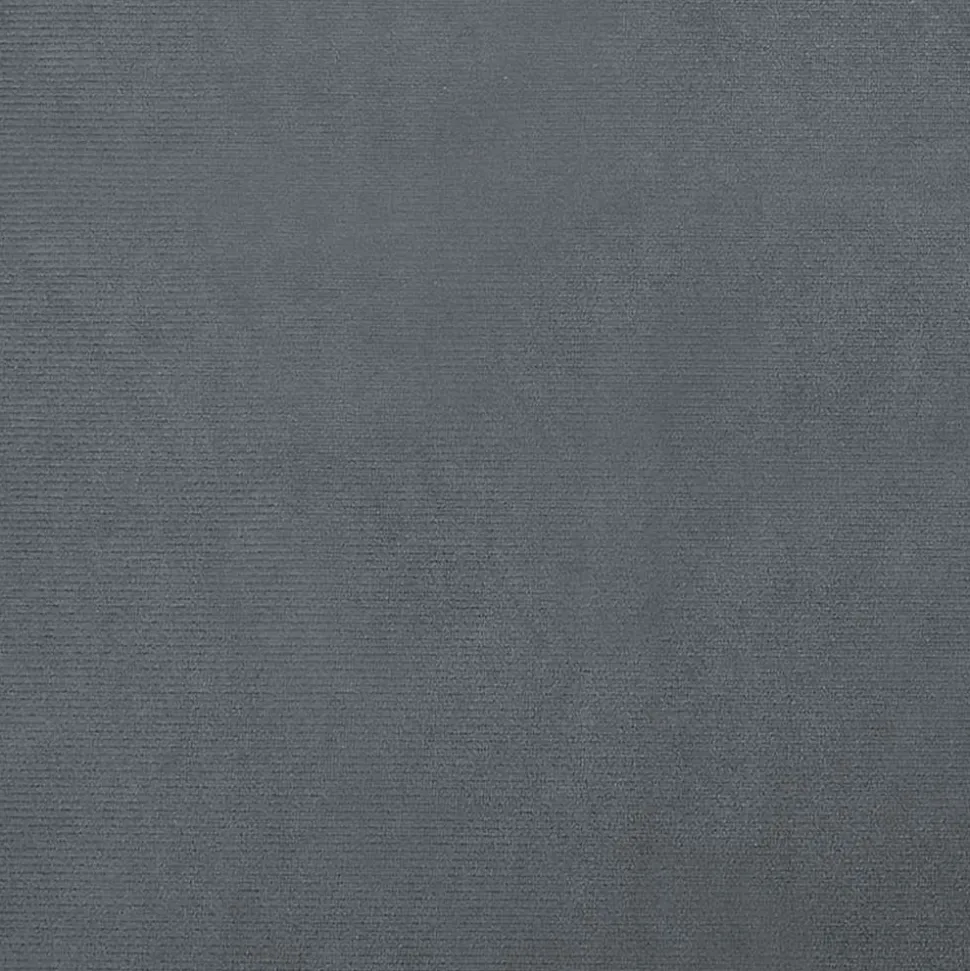 MAISON EXCLUSIVE - Lit pour chien gris foncé 70x45x26,5 cm velours