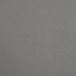 MAISON EXCLUSIVE - Lit pour chien gris 90x53x30 cm similicuir
