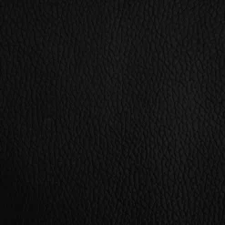 MAISON EXCLUSIVE - Lit pour chien noir 50x40x30 cm similicuir