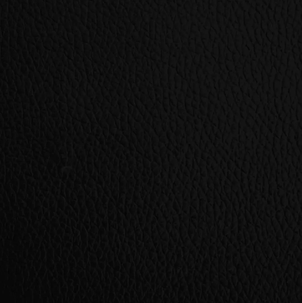 MAISON EXCLUSIVE - Lit pour chien noir 95x55x30 cm similicuir
