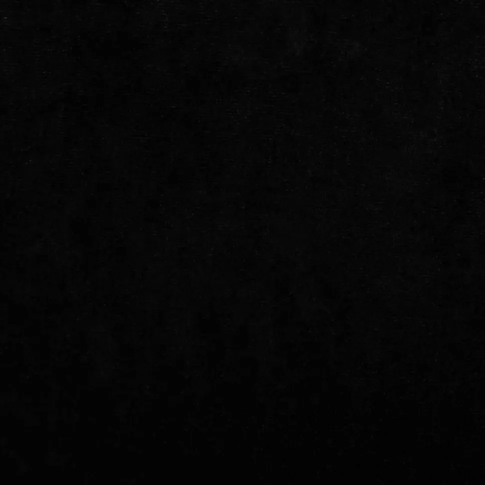 MAISON EXCLUSIVE - Lit pour chien noir 70x40x24 cm velours