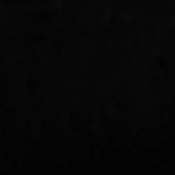 MAISON EXCLUSIVE - Lit pour chien noir 60x40x30 cm velours