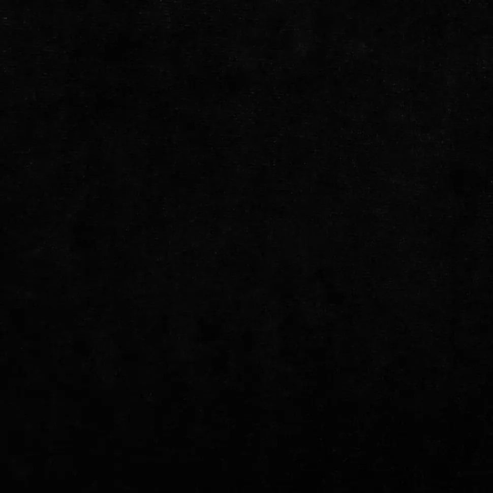 MAISON EXCLUSIVE - Lit pour chien noir 60x40x30 cm velours