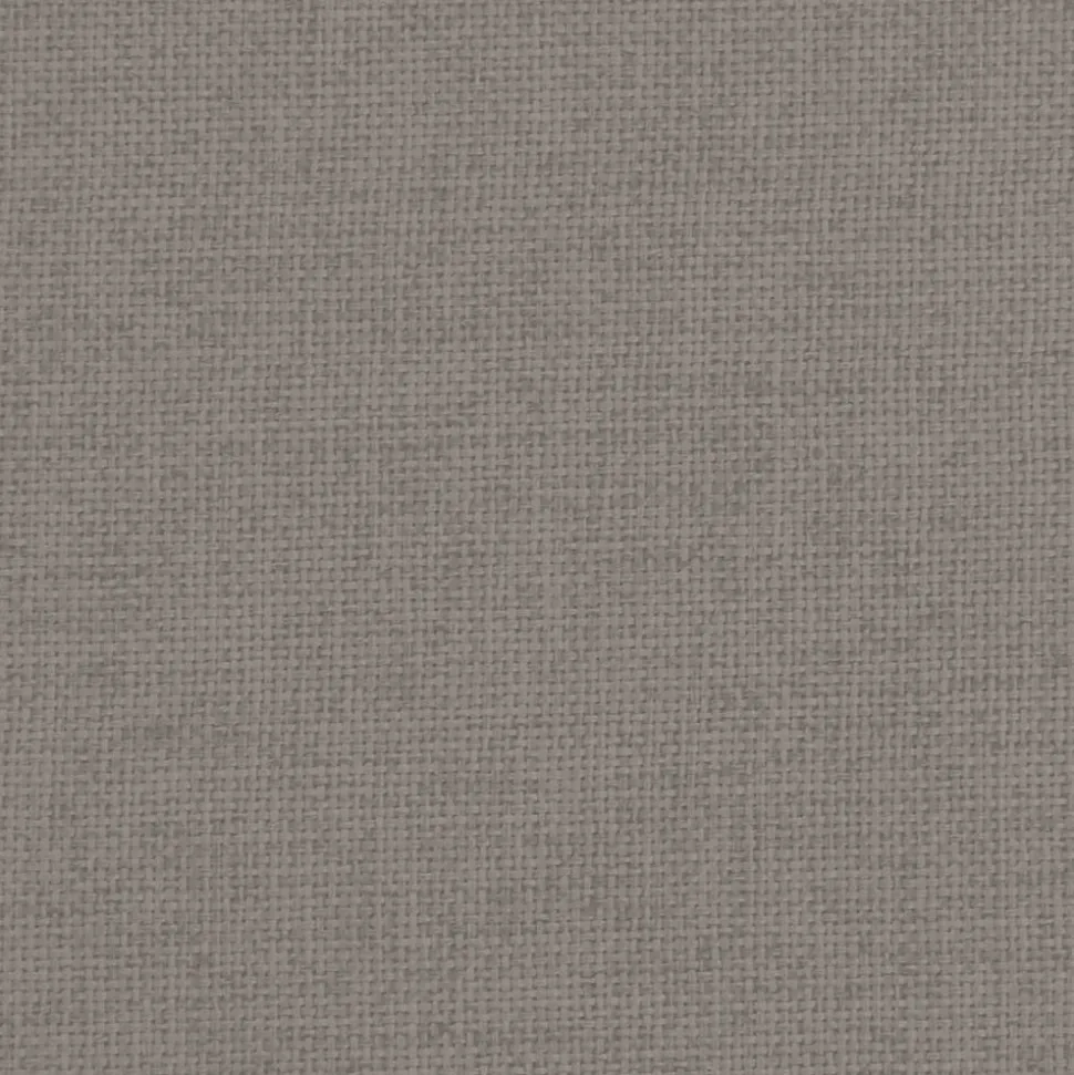 MAISON EXCLUSIVE - Lit pour chien taupe 70x45x30 cm tissu