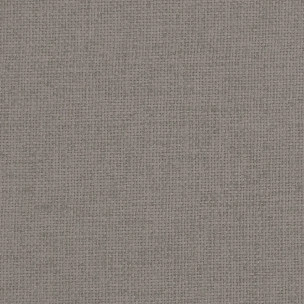 MAISON EXCLUSIVE - Lit pour chien taupe 70x52x30 cm tissu