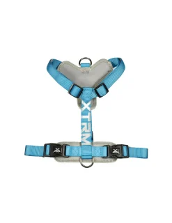 NAYECO - Harnais x-trm cronos neon flash 35-60x1.5cm bleu nayeco