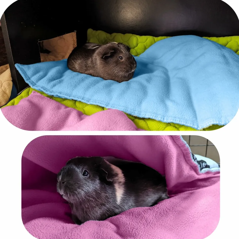 NEO SOLVO - Coussin polaire pour cochon d'inde et lapin - 30 x 26 cm - absorbant et confortable