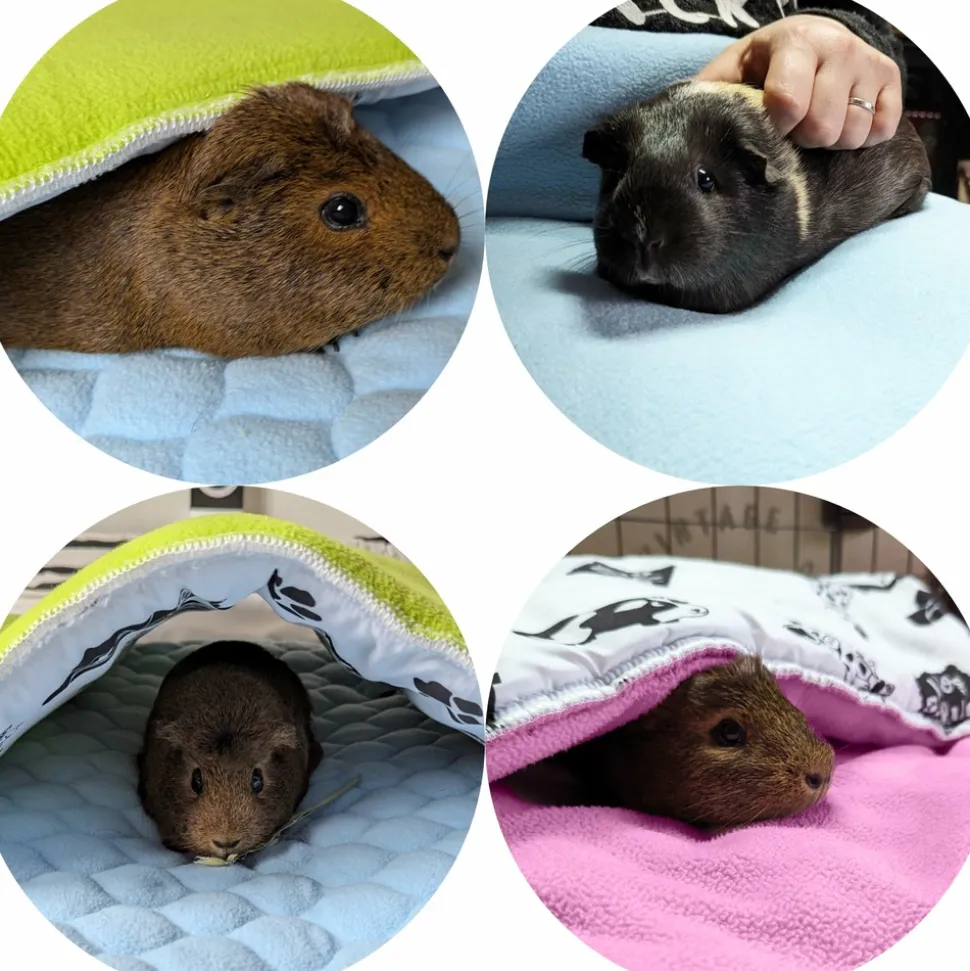 NEO SOLVO - Coussin polaire pour cochon d'inde et lapin - 30 x 26 cm - absorbant et confortable