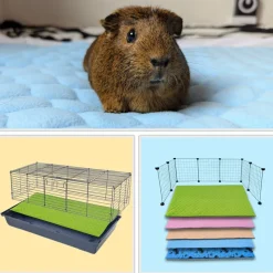 NEO SOLVO - Lot de 2 - tapis qui remplace la litière pour cochon d'inde et lapin - absorbant, imperméable, passe en machine 140 x 70 cm