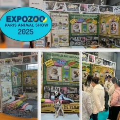 NEO SOLVO - Lot de 2 - tapis qui remplace la litière pour cochon d'inde et lapin - absorbant, imperméable, passe en machine 60 x 50 cm