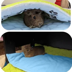 NEO SOLVO - Tapis pour cochon d'inde et lapin en polaire - 140 x 70 cm - polaire absorbant, lavable en machine, economique et ecologique