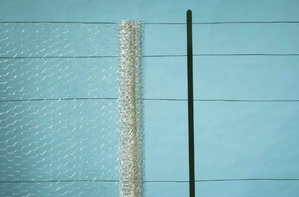 NORTENE - Grillage métal galva triple torsion 4,1cm - 0,5 x 50 m