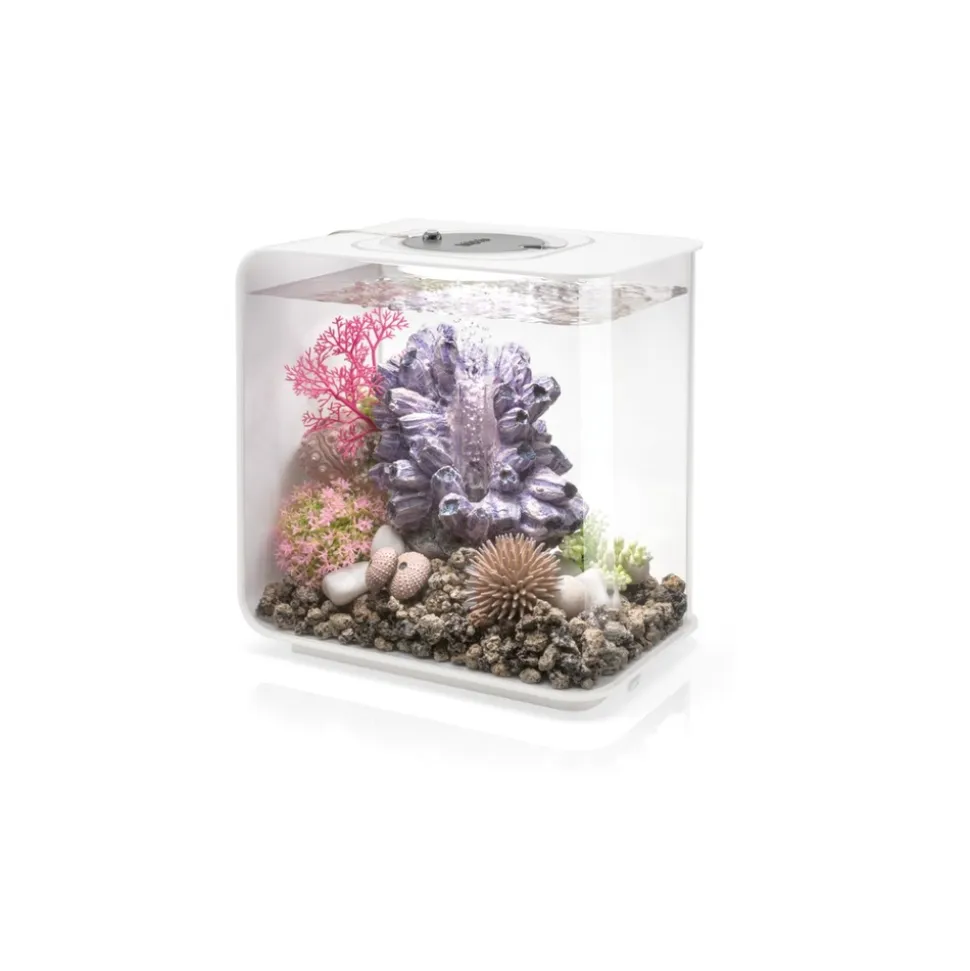 Oase aquarium 15l led blanc - flow 15 mcr white