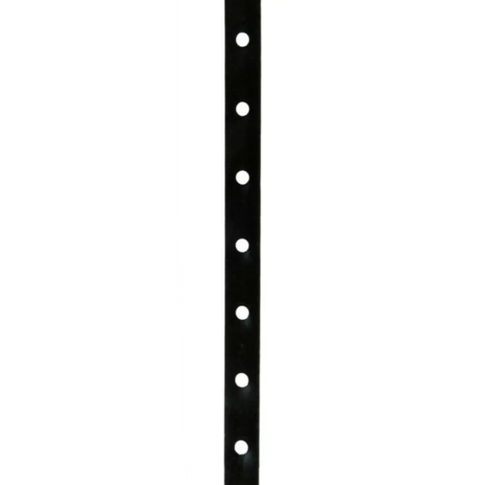 PARIS PRIX - Collier insectifuge chien "antiparasitaire" 60cm noir