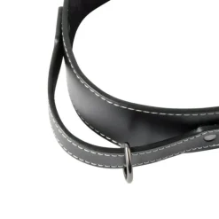 PARIS PRIX - Collier pour chien 2xl "cuir" 70cm noir